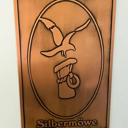 Silbermoewe *